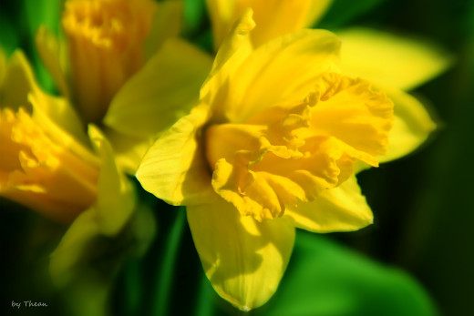 625662 (a): :2560x1707